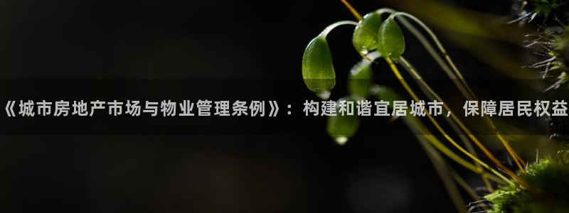 新宝5登录：《城市房地产市场与物业管理条例》：构建和谐宜居城