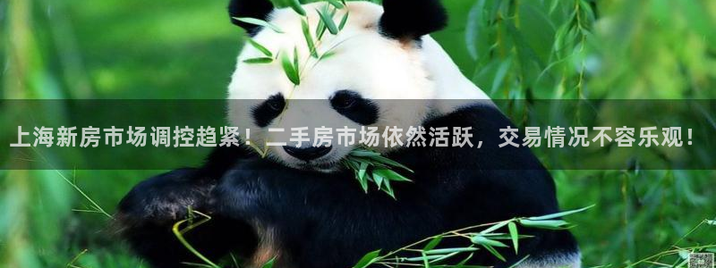 新宝5手机测速：上海新房市场调控趋紧！二手房市场依然活跃，交