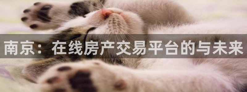 新宝5日：南京：在线房产交易平台的与未来