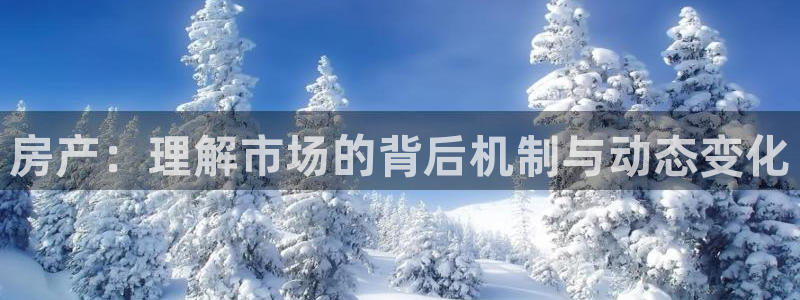 菲律宾新宝5老板：房产：理解市场的背后机制与动态变化