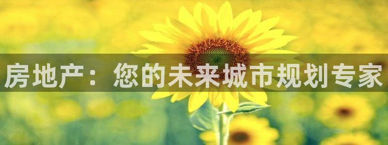新宝5网：房地产：您的未来城市规划专家