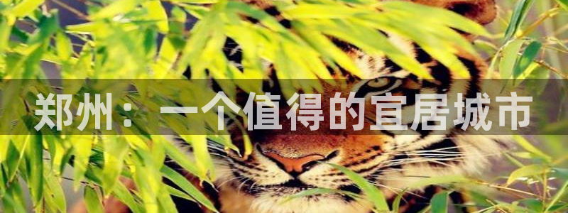 新宝5如何注册登录：郑州：一个值得的宜居城市