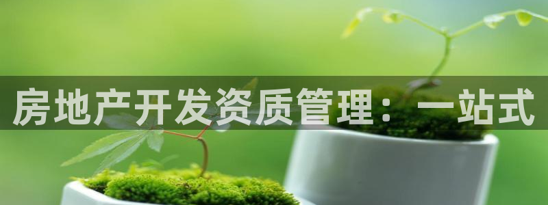 新宝5下载注册：房地产开发资质管理：一站式