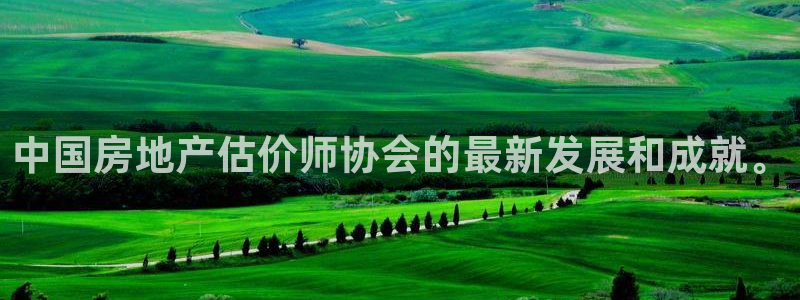 新宝5登录不了：中国房地产估价师协会的最新发展和成就。