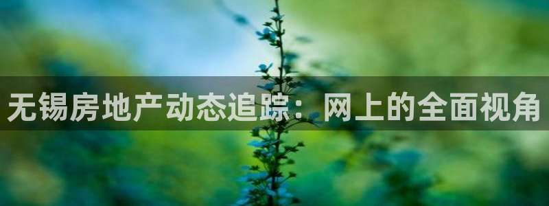新宝5是什么样子的：无锡房地产动态追踪：网上的全面视角