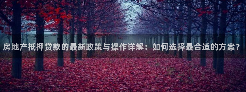 新宝5公司：房地产抵押贷款的最新政策与操作详解：如何选择最合
