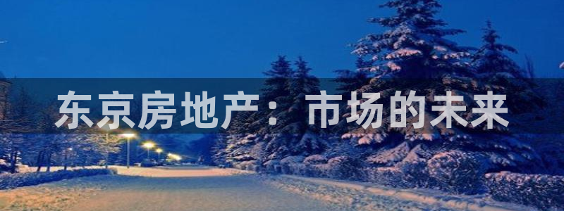 新宝5吕74OOO5：东京房地产：市场的未来