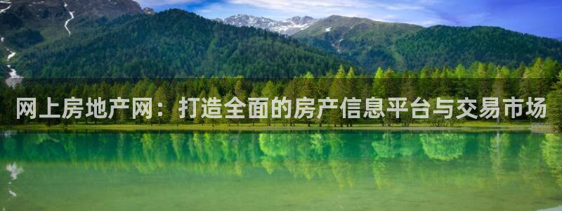 新宝5d：网上房地产网：打造全面的房产信息平台与交易市场