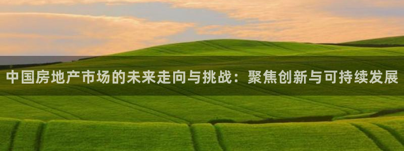 新宝5手机登陆：中国房地产市场的未来走向与挑战：聚焦创新与可