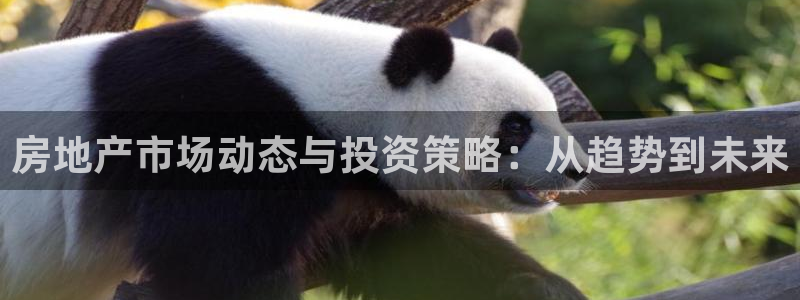 新宝6霸哥5：房地产市场动态与投资策略：从趋势到未来