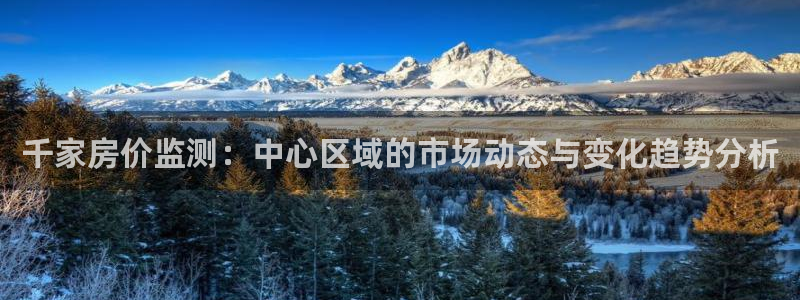 新宝测速5：千家房价监测：中心区域的市场动态与变化趋势分析