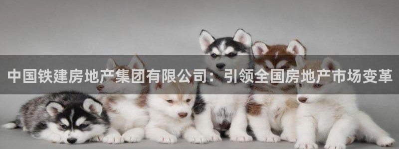 新宝5周74OOO5：中国铁建房地产集团有限公司：引领全国房