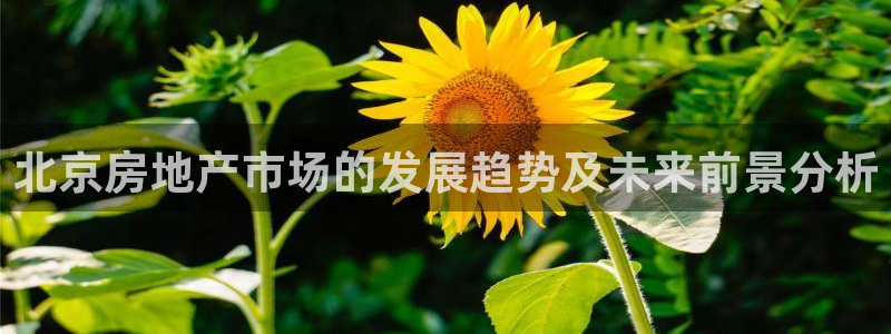 新宝5官方下载地址：北京房地产市场的发展趋势及未来前景分析