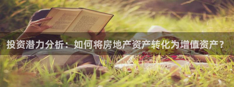 新宝5电脑：投资潜力分析：如何将房地产资产转化为增值资产？