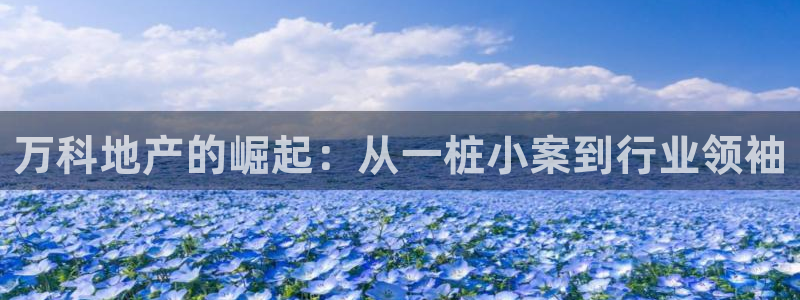 新宝5地址：万科地产的崛起：从一桩小案到行业领袖
