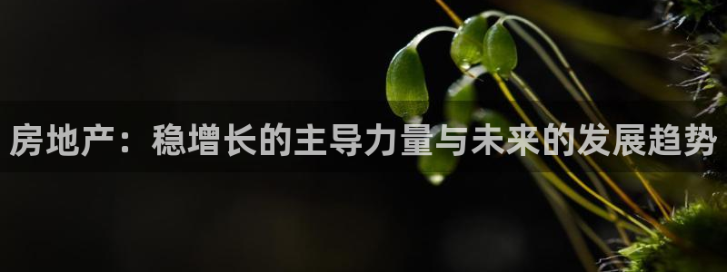 新宝5授权：房地产：稳增长的主导力量与未来的发展趋势