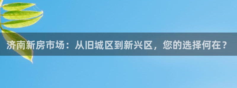 新宝5测速：济南新房市场：从旧城区到新兴区，您的选择何在？