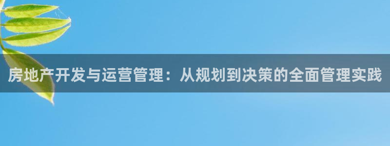 新宝5王问74OOO5：房地产开发与运营管理：从规划到决策的