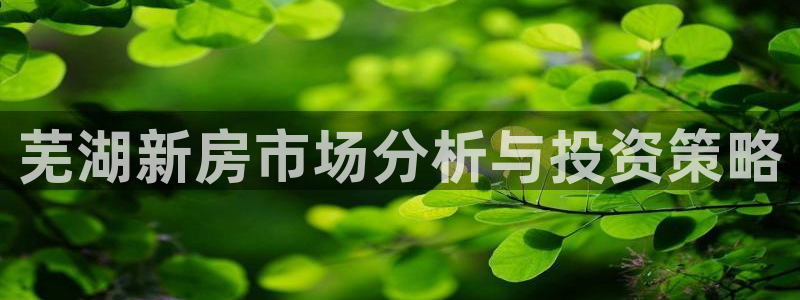 新宝b2O5O5O：芜湖新房市场分析与投资策略