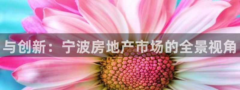 新宝5天：与创新：宁波房地产市场的全景视角