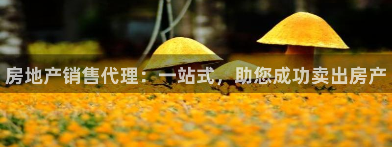 新宝5娱乐没：房地产销售代理：一站式，助您成功卖出房产