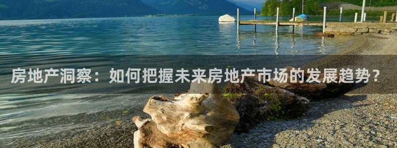 新宝5日谢29999：房地产洞察：如何把握未来房地产市场的发