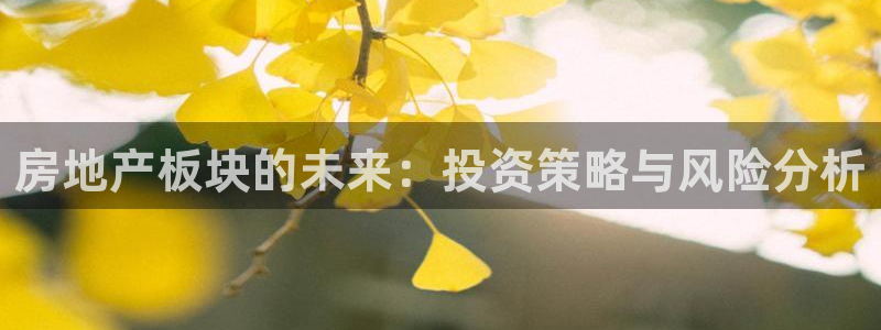 新宝5注册登录：房地产板块的未来：投资策略与风险分析