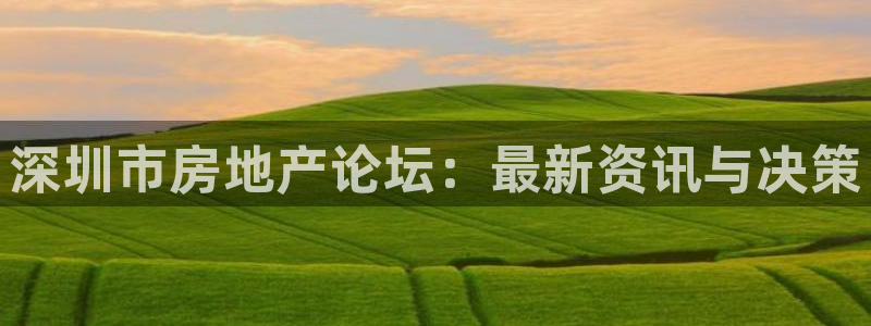 新宝5下载到桌面：深圳市房地产论坛：最新资讯与决策