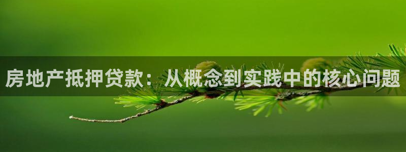 新宝5秒开：房地产抵押贷款：从概念到实践中的核心问题