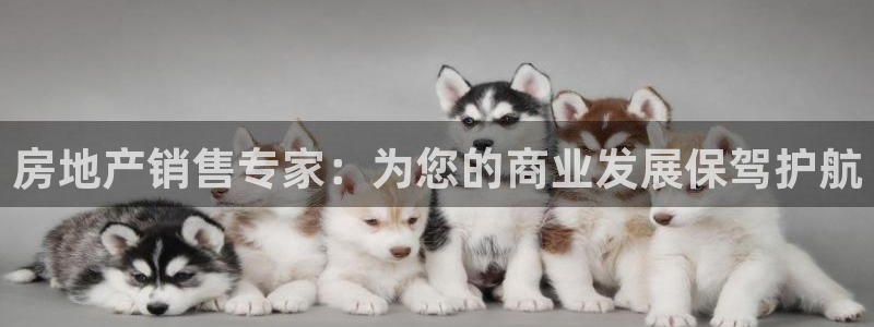 新宝5客户端登录：房地产销售专家：为您的商业发展保驾护航