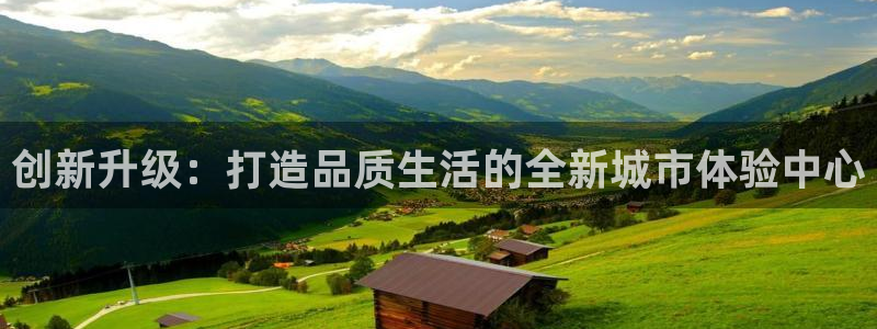 新宝5网站：创新升级：打造品质生活的全新城市体验中心