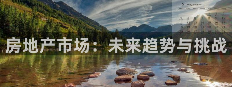 新宝5湫333 00：房地产市场：未来趋势与挑战