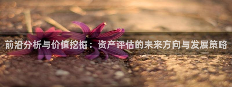 新宝5手机登陆：前沿分析与价值挖掘：资产评估的未来方向与发展