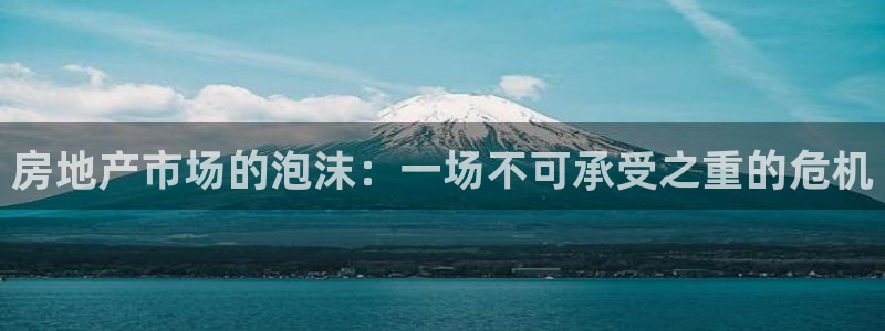 新宝j2O5O5O：房地产市场的泡沫：一场不可承受之重的危机