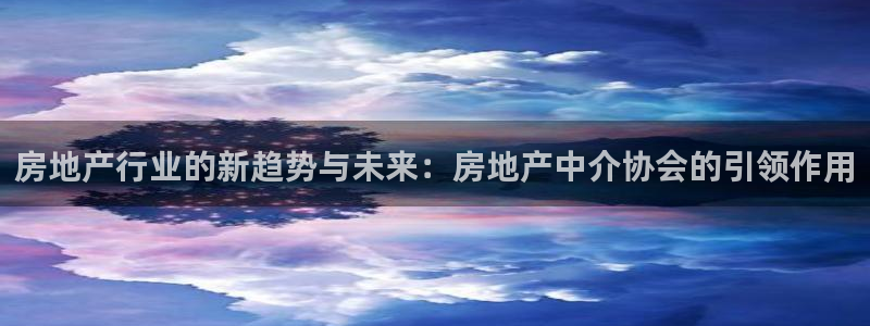 新宝5新宝6顺达：房地产行业的新趋势与未来：房地产中介协会的