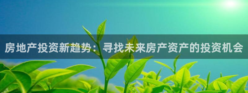 新宝5培训：房地产投资新趋势：寻找未来房产资产的投资机会