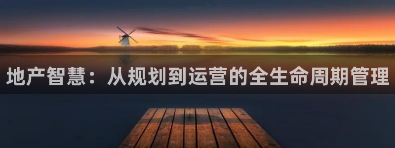 新宝5登录不了：地产智慧：从规划到运营的全生命周期管理