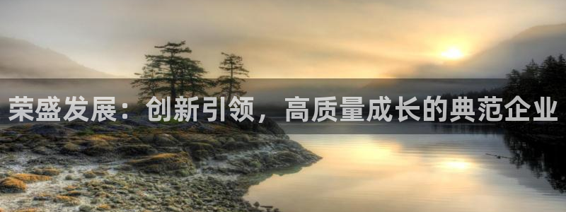 新宝5登陆：荣盛发展：创新引领，高质量成长的典范企业