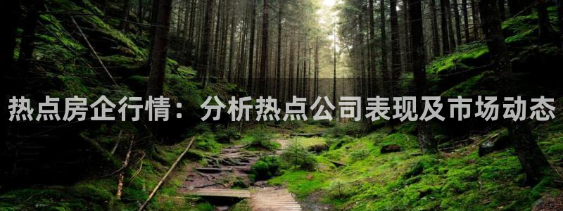 新宝5周74OOO5：热点房企行情：分析热点公司表现及市场动