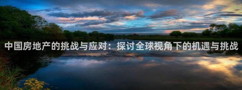 新宝5浗维33 300：中国房地产的挑战与应对：探讨全球视角