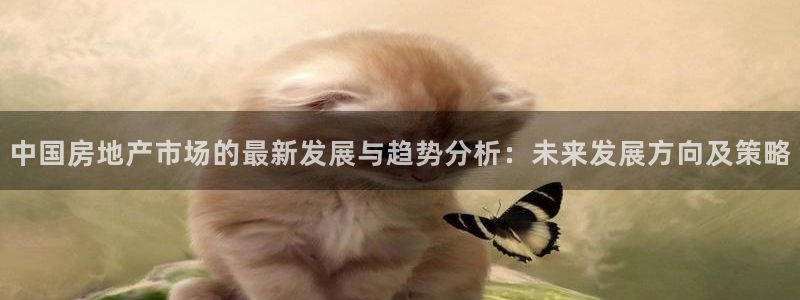 新宝5蒋74OOO5：中国房地产市场的最新发展与趋势分析：未