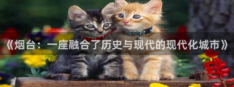 新宝5下载官方：《烟台：一座融合了历史与现代的现代化城市》