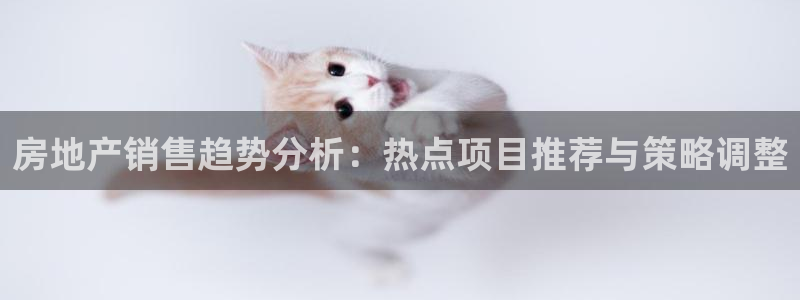 新宝5链接：房地产销售趋势分析：热点项目推荐与策略调整