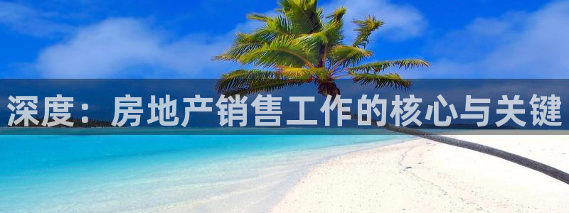 新宝股东瞧听2 5 5：深度：房地产销售工作的核心与关键