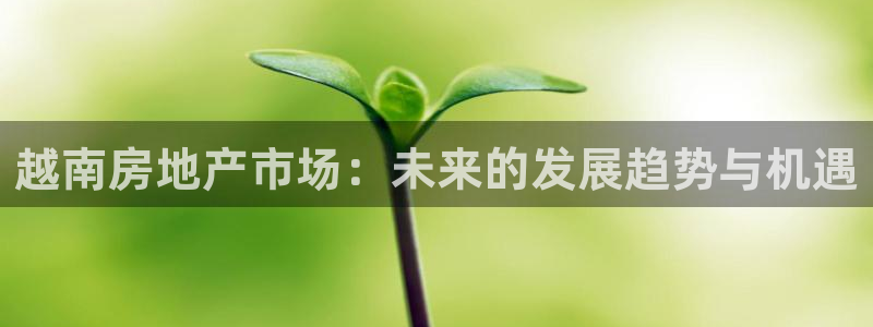 新宝5测登录：越南房地产市场：未来的发展趋势与机遇