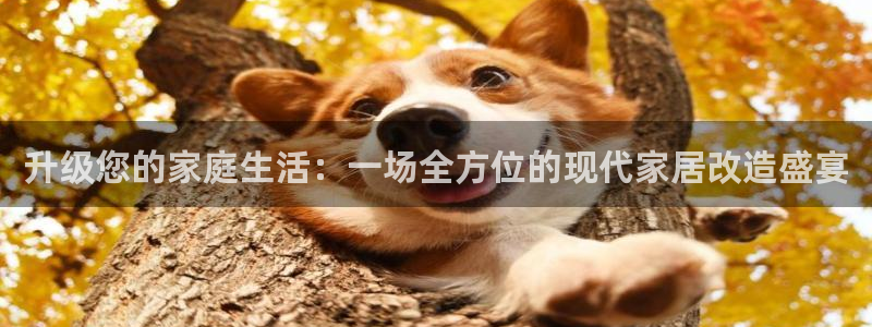 新宝5娱乐登陆：升级您的家庭生活：一场全方位的现代家居改造盛