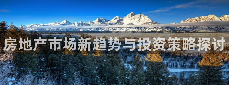 新宝5平台注册公司：房地产市场新趋势与投资策略探讨