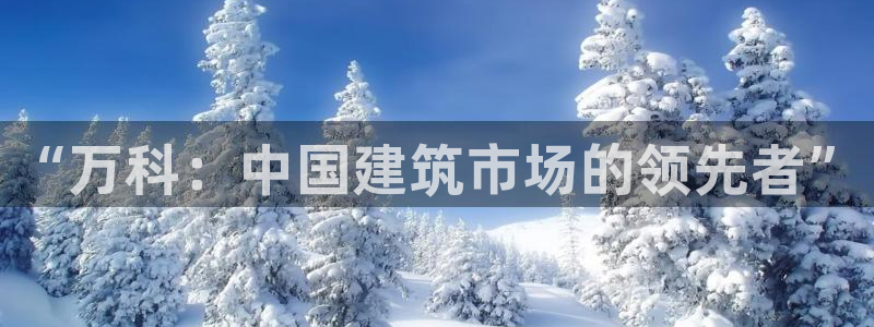 新宝5是什么：“万科：中国建筑市场的领先者”