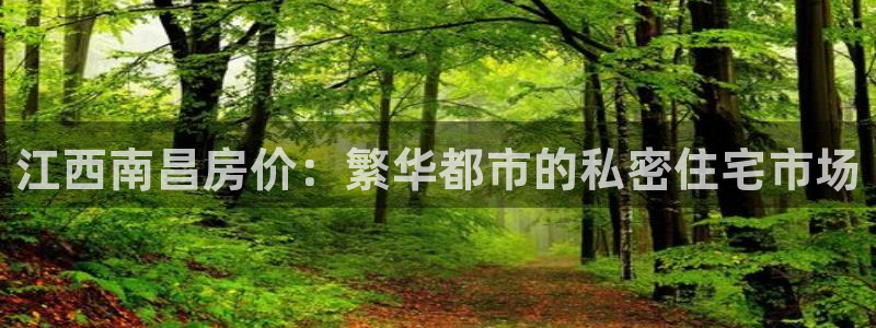 新宝5平台注册：江西南昌房价：繁华都市的私密住宅市场