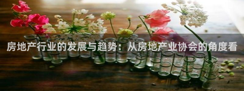 新宝5测速在线：房地产行业的发展与趋势：从房地产业协会的角度